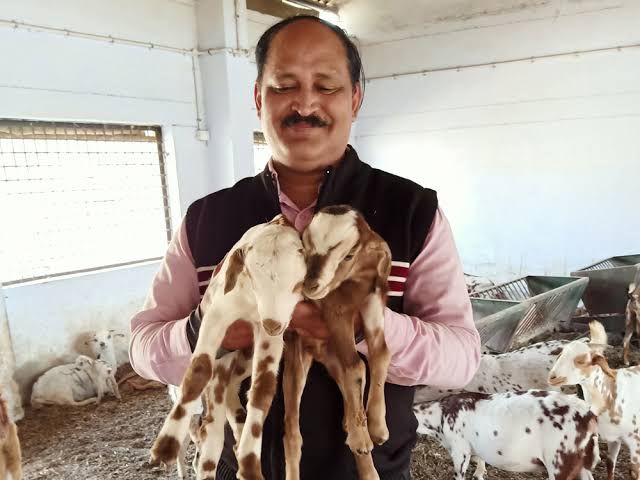 भागलपुर से निकलकर वैश्विक पहचान बनाने वाले संजीव कुमार को ट्रूली इंडियन अवार्ड – अक्टूबर में इटली के मिलान शहर में होंगे सम्मानित